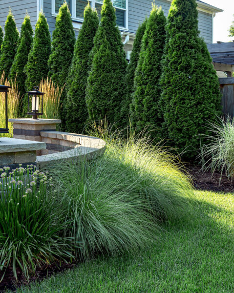 Privacy Landscaping