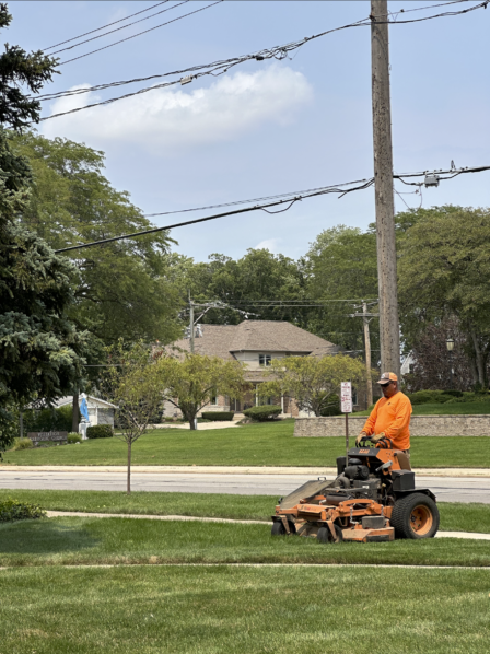 Lawn Mowing Maintenance